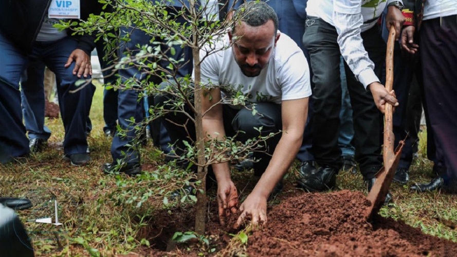 Etiopía ejemplo de reforestación