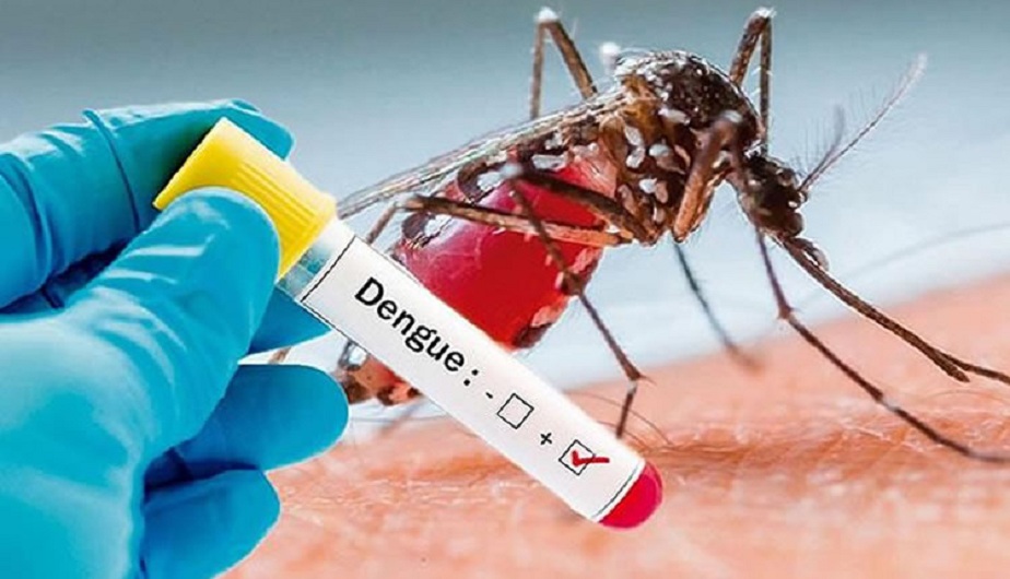 Dengue en Polonuevo