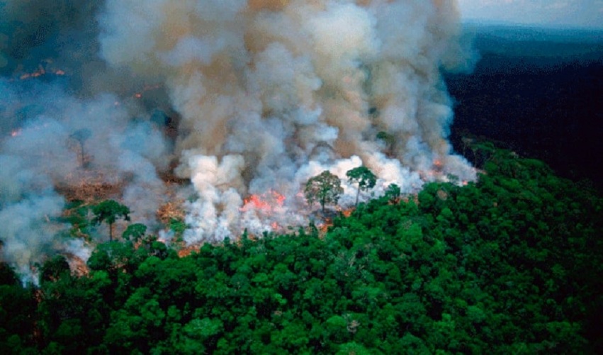 Incendios en la Selva amazonica
