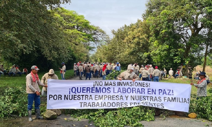 La Ministra de Agricultura está a favor de los invasores de tierras en Cauca