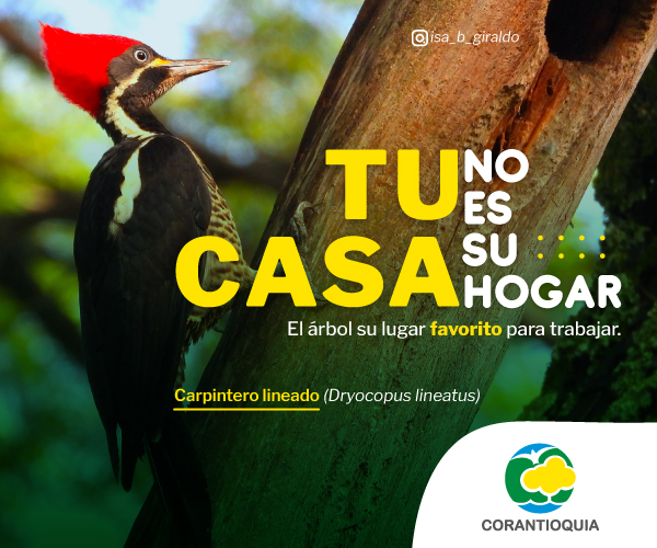 banner corantioquia la otra cara 600 px por 500 px