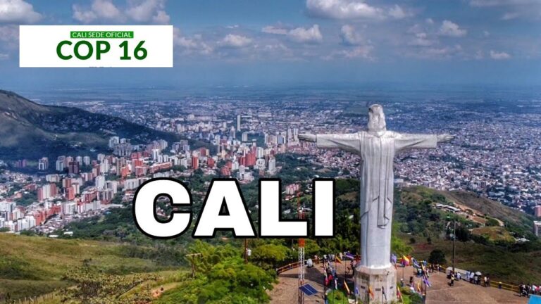 Cali será la sede de la Cumbre de Biodiversidad COP16, según lo anunció el Gobierno