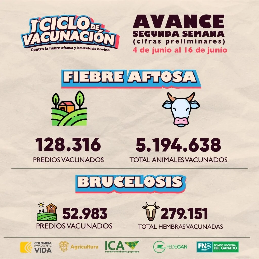 ciclo de vacunacion fiebre aftosa junio 2024