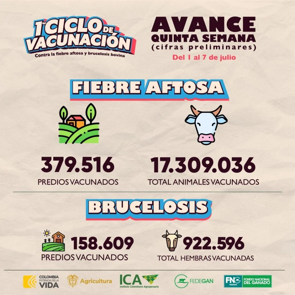 ciclo de vacunacion de fedegán contra aftosa3