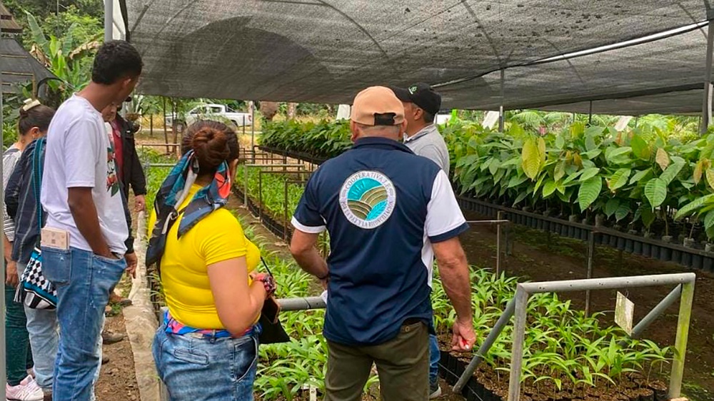 firmantes de paz participarán en 20 actividades de la cop16