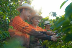 negocios verdes corantioquia