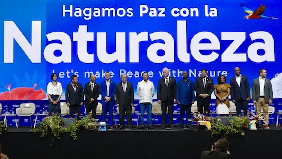 paz con la naturaleza en la cop16