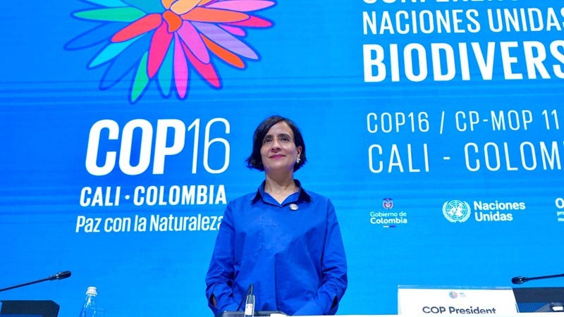 susana muhamad en la cop16