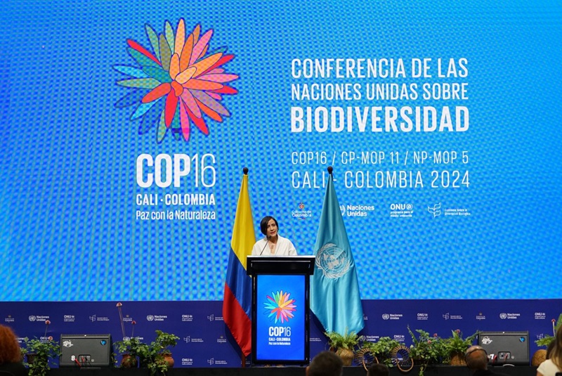 La MinAmbiente Susana Muhamad pidió en la inauguración de la COP16 de Cali “dar un paso más” por la biodiversidad y hacer la paz con la naturaleza