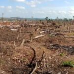 deforestacion en el catatumbo1