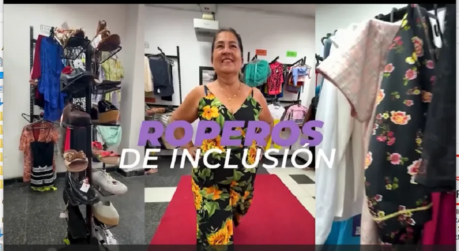 roperos de inclusion