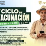 ciclo de vacunacion fiebre aftosa mayo 2025b
