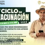 ciclo de vacunacion fiebre aftosa mayo 2025b