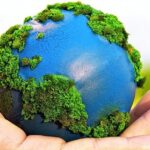 dia del medio ambiente
