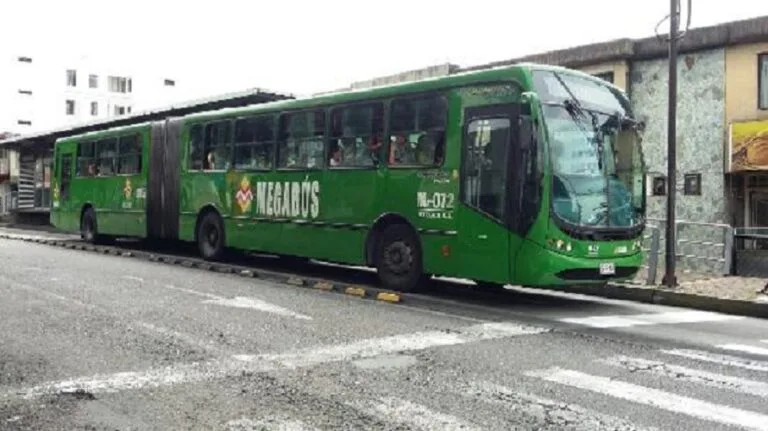 megabus de pereira