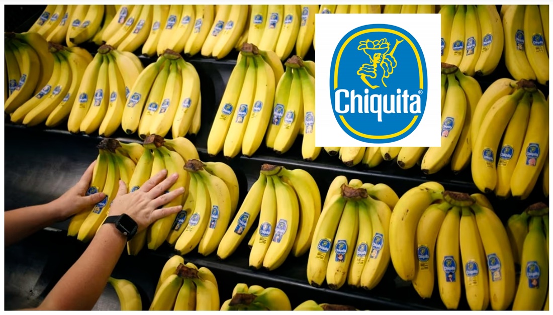 Conozca los exdirectivos de la compañía estadounidense Chiquita Brands condenados por nexos con paramilitares