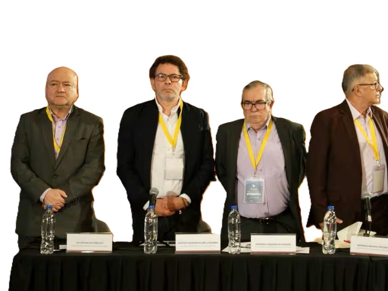 secretariado de las farc