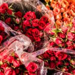 flores y exportaciones