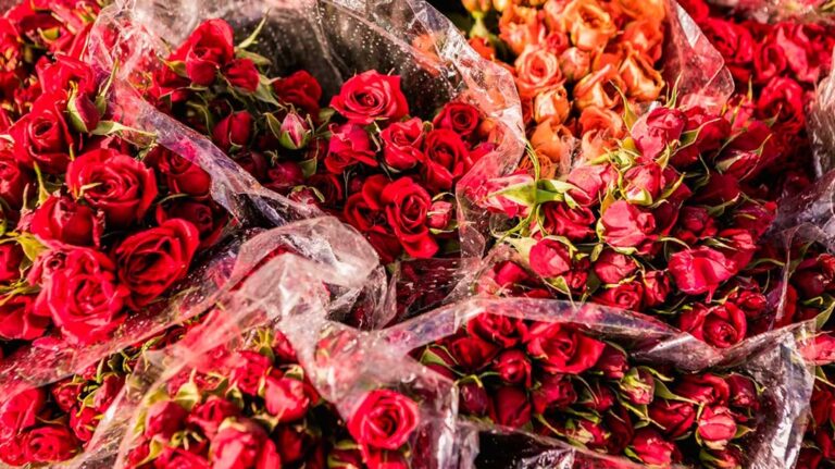 flores y exportaciones