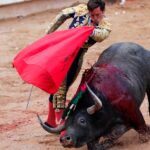 corridas de toros