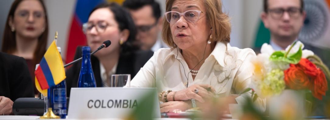 canciller colombiana rosa villavicencio