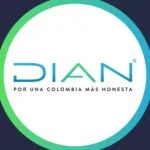 dian1