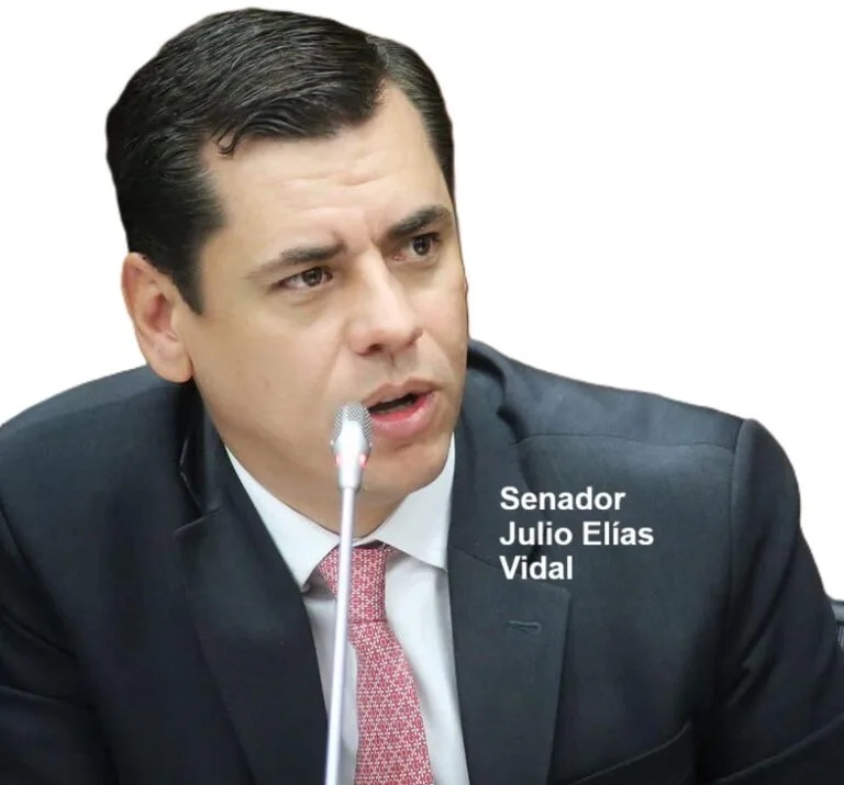julio elias vidal