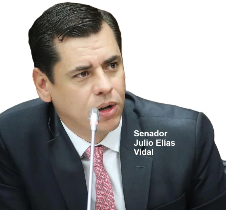 julio elias vidal