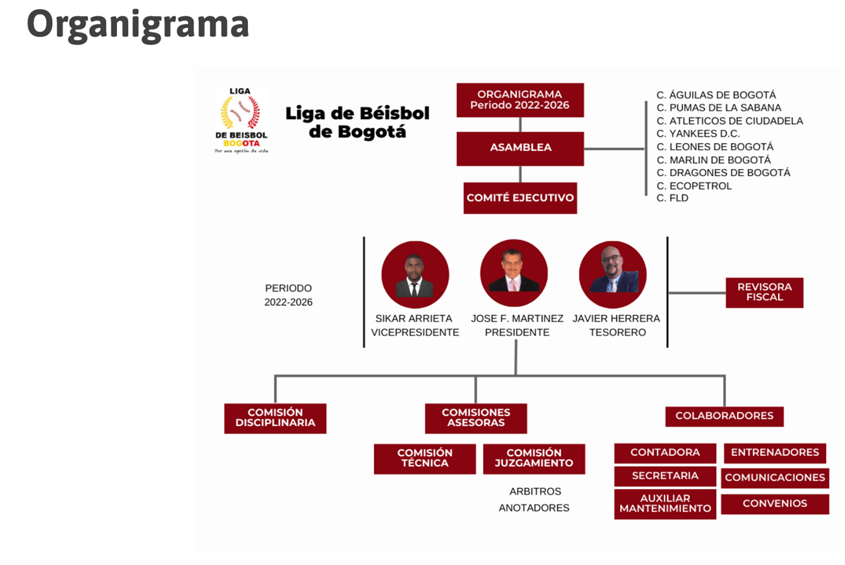 organigrama liga de beisbol de bogota