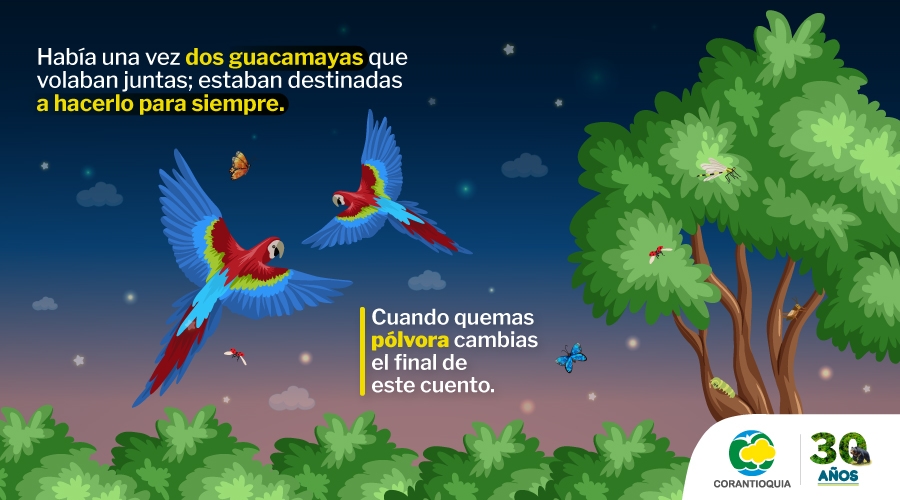 14 banner publicitario de teleantioquia para la otra cara 600 x 500