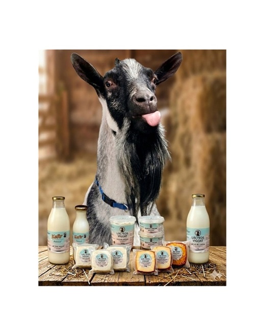 lacteos vigoat a