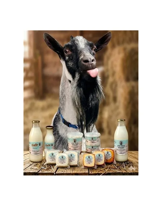 lacteos vigoat a