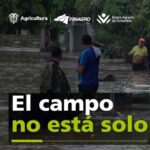 soluciones finacieras del gobierno para afectados