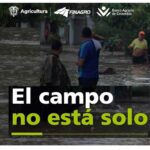 soluciones finacieras del gobierno para afectados d