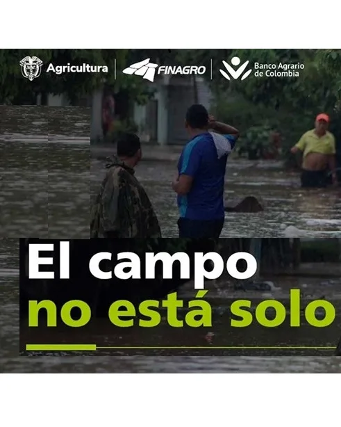 soluciones finacieras del gobierno para afectados d