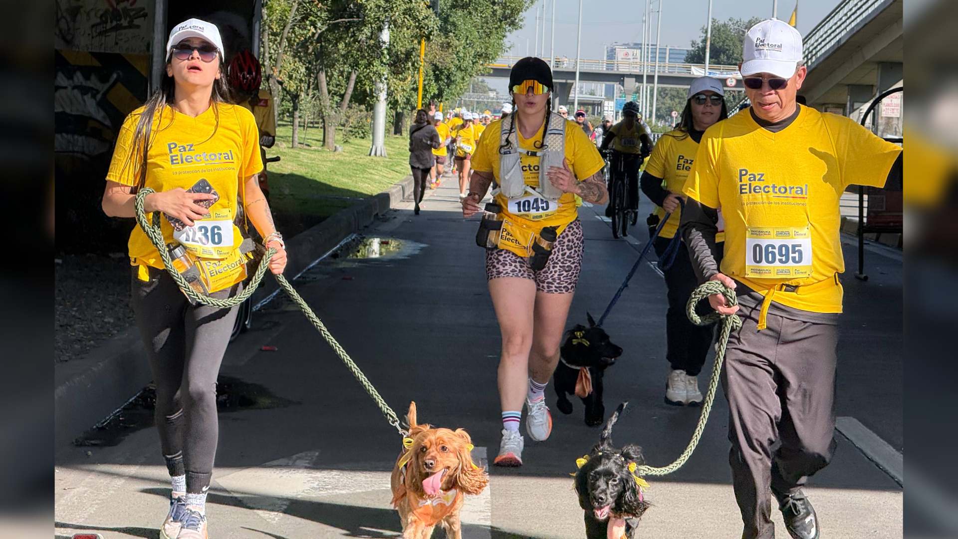 ciclovia paz electoral