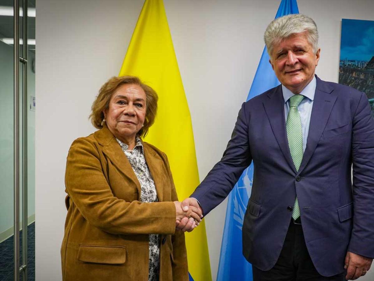 rosa villavicencio en nueva york