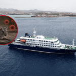 hantavirus